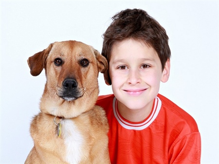 Hunde- und Menschenalter