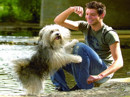 Was wir von unseren Hunden lernen können